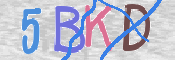 CAPTCHA (Şahıs Denetim Kodu) Resmi