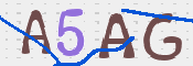 CAPTCHA (Şahıs Denetim Kodu) Resmi