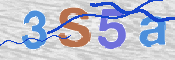 CAPTCHA (Şahıs Denetim Kodu) Resmi