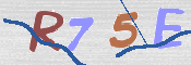 CAPTCHA (Şahıs Denetim Kodu) Resmi