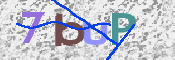 CAPTCHA (Şahıs Denetim Kodu) Resmi