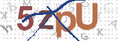 CAPTCHA (Şahıs Denetim Kodu) Resmi