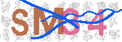 CAPTCHA (Şahıs Denetim Kodu) Resmi