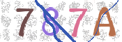CAPTCHA (Şahıs Denetim Kodu) Resmi
