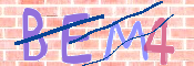 CAPTCHA (Şahıs Denetim Kodu) Resmi