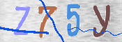 CAPTCHA (Şahıs Denetim Kodu) Resmi