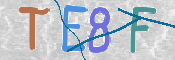 CAPTCHA (Şahıs Denetim Kodu) Resmi