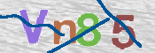 CAPTCHA (Şahıs Denetim Kodu) Resmi