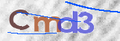 CAPTCHA (Şahıs Denetim Kodu) Resmi