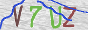CAPTCHA (Şahıs Denetim Kodu) Resmi