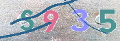 CAPTCHA (Şahıs Denetim Kodu) Resmi