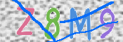 CAPTCHA (Şahıs Denetim Kodu) Resmi