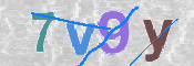 CAPTCHA (Şahıs Denetim Kodu) Resmi