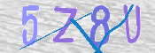 CAPTCHA (Şahıs Denetim Kodu) Resmi
