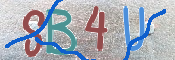 CAPTCHA (Şahıs Denetim Kodu) Resmi