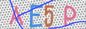 CAPTCHA (Şahıs Denetim Kodu) Resmi