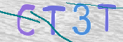 CAPTCHA (Şahıs Denetim Kodu) Resmi