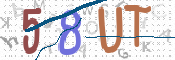 CAPTCHA (Şahıs Denetim Kodu) Resmi