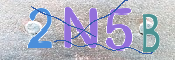 CAPTCHA (Şahıs Denetim Kodu) Resmi