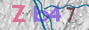 CAPTCHA (Şahıs Denetim Kodu) Resmi