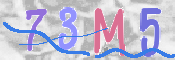 CAPTCHA (Şahıs Denetim Kodu) Resmi