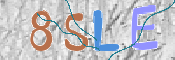 CAPTCHA (Şahıs Denetim Kodu) Resmi