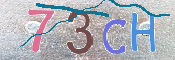 CAPTCHA (Şahıs Denetim Kodu) Resmi