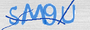 CAPTCHA (Şahıs Denetim Kodu) Resmi