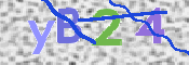CAPTCHA (Şahıs Denetim Kodu) Resmi