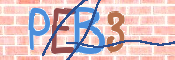 CAPTCHA (Şahıs Denetim Kodu) Resmi