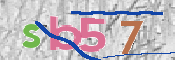 CAPTCHA (Şahıs Denetim Kodu) Resmi