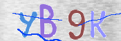 CAPTCHA (Şahıs Denetim Kodu) Resmi