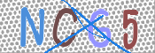 CAPTCHA (Şahıs Denetim Kodu) Resmi