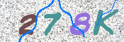 CAPTCHA (Şahıs Denetim Kodu) Resmi
