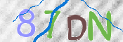 CAPTCHA (Şahıs Denetim Kodu) Resmi