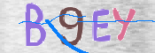 CAPTCHA (Şahıs Denetim Kodu) Resmi