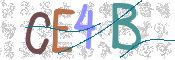 CAPTCHA (Şahıs Denetim Kodu) Resmi