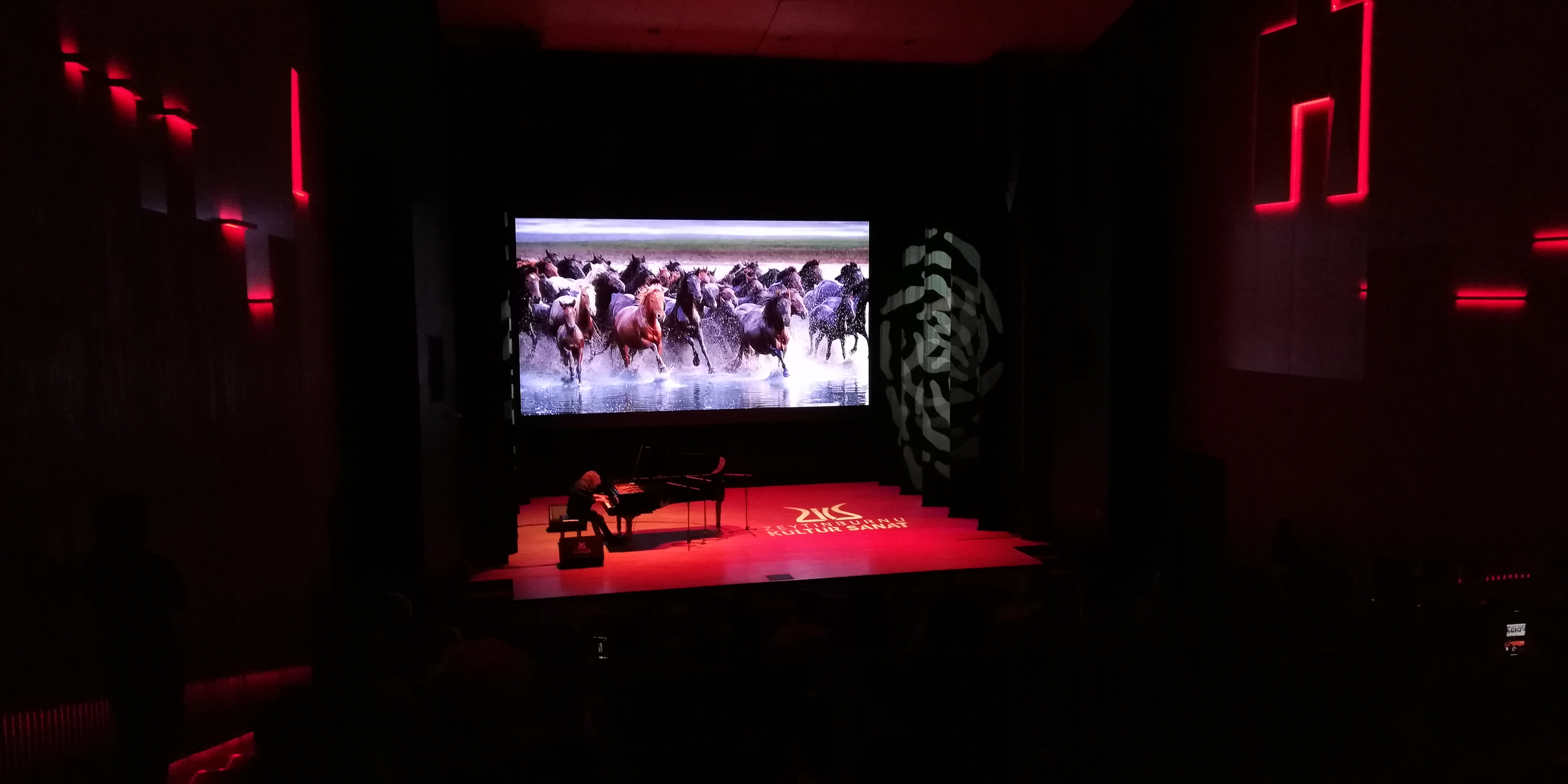 Çanakkale’den Afrin’e Şehit Mektupları Konseri
